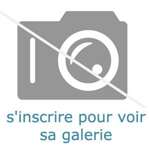 j'aimerai me marier à Paris