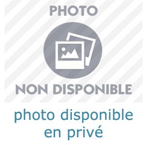 je veux qu'on échange nos alliances à Nantes